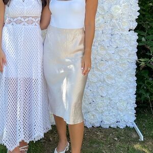 Aritzia Blush Pink Midi Skirt